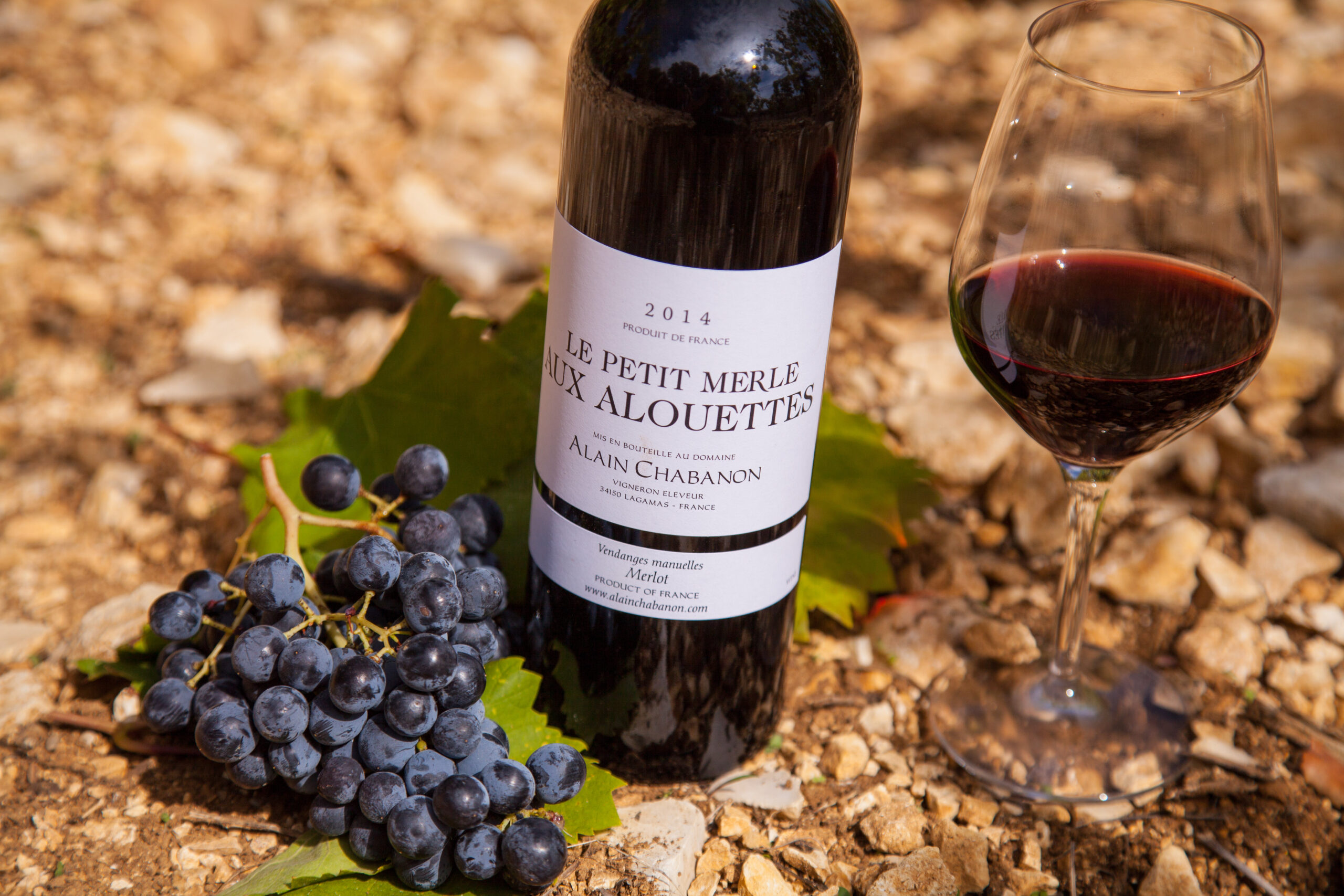 Cuvée le petit merle aux alouettes, Alain Chabanon