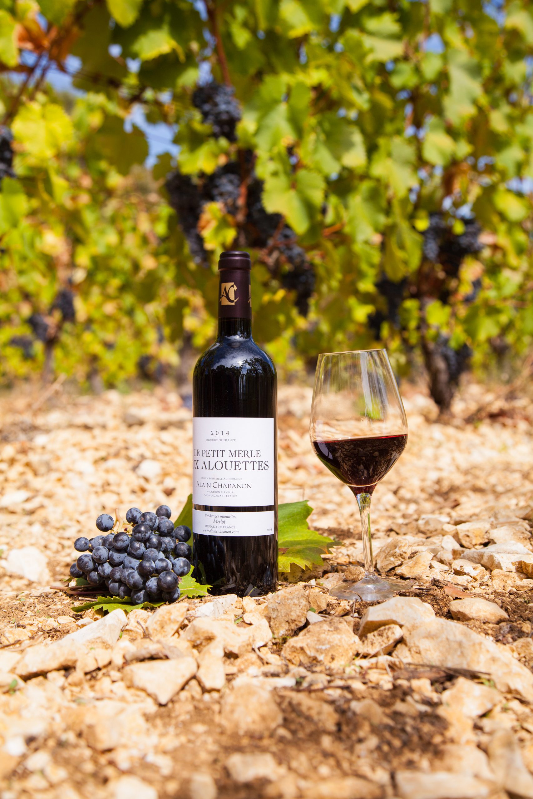 Cuvée le petit merle aux alouettes, Alain Chabanon